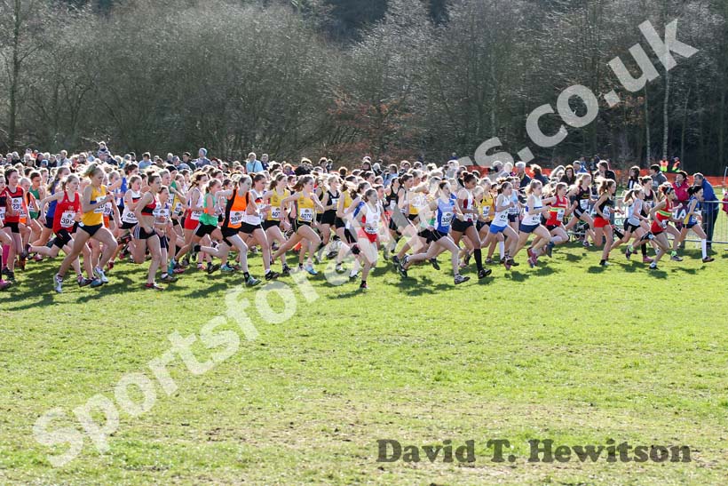 Under-15 Girls start, McCain Inter Counties Cross Country, Cofton Park, Birmingham.